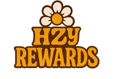 HZY Rewards logo featuring bold orange bubble-style lettering with a brown outline, topped by a retro cream-and-orange daisy, on a white background.