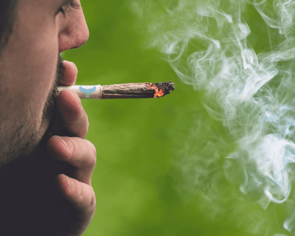 Recreational Benefits of Using Cannabis